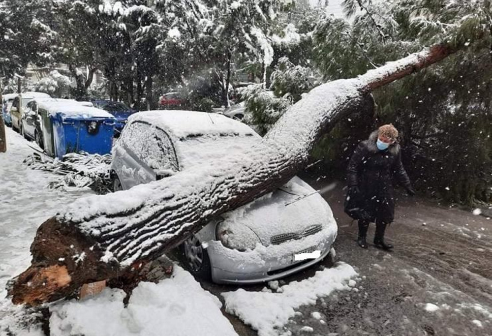 Κακοκαιρία «Μήδεια»: Το «βαρύ χιόνι» έριξε τα δένδρα στην Αττική