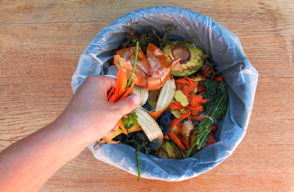 Αποκαρδιωτική έκθεση: Πάνω από 900 εκατ. τόνοι φαγητού καταλήγουν στα σκουπίδια χωρίς να καταναλωθούν