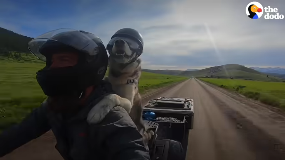 Το βίντεο της ημέρας: Το γέρικο χάσκι που λατρεύει τις βόλτες με μηχανή – Δείτε τι του έφτιαξε το αφεντικό του