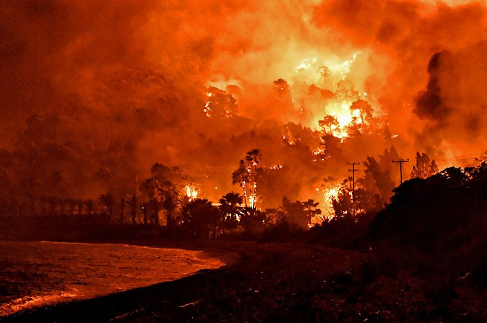 Νίκος Χαρδαλιάς για πυρκαγιά στον Σχίνο: Από καύση υπολειμμάτων σε ελαιώνα ξεκίνησε η μεγάλη φωτιά που έκαψε 20.000 στρέμματα