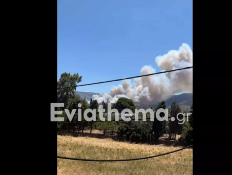 Μάχη με τις φλόγες στην Εύβοια: Εκκενώθηκε προληπτικά το Νημποριό