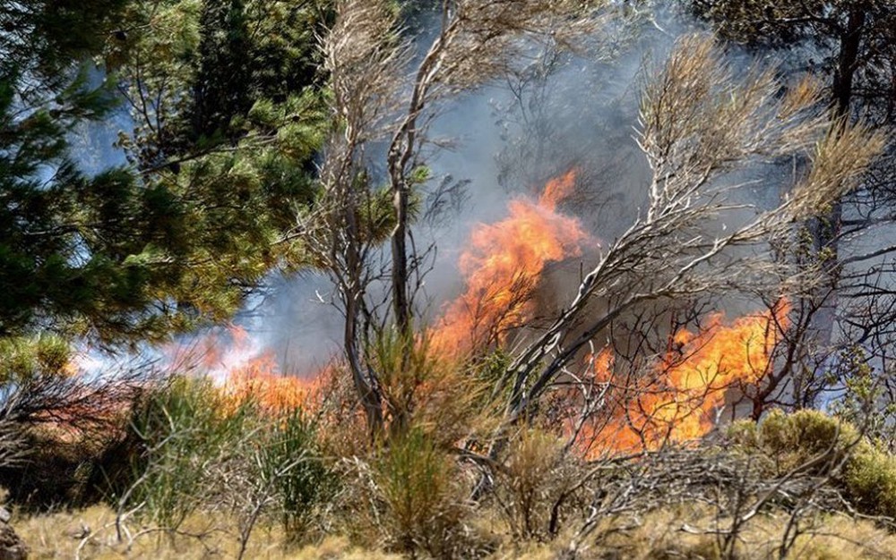 Καίγεται η Ελλάδα: Πυρκαγές σε Εύβοια, Κω και Καλάβρυτα