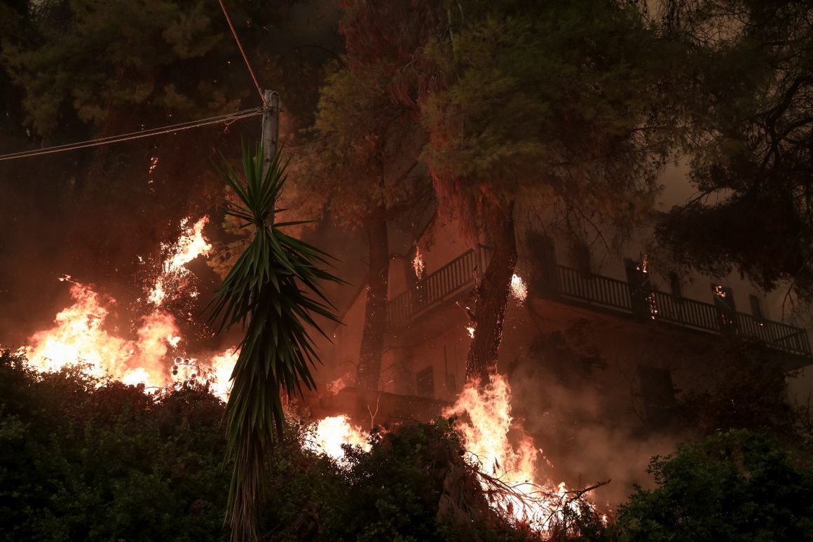 Πυρομετεωρολόγος για τις φωτιές: «Απαραίτητη η διαχείριση των δασικών καυσίμων»