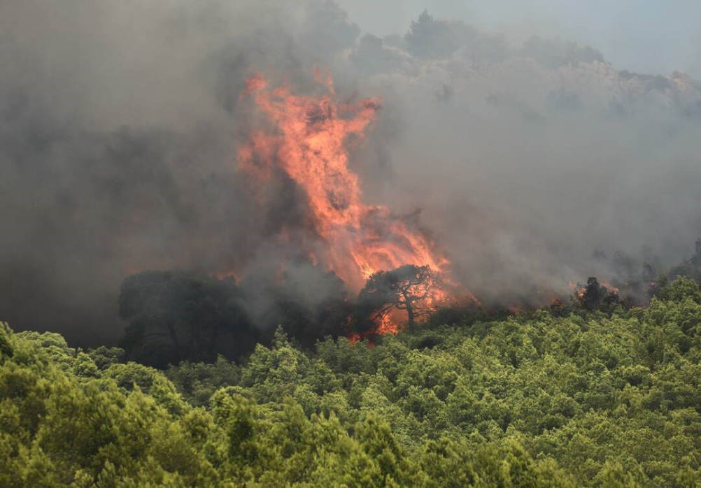 Πυρκαγιά σε δασική έκταση στην Λευκάδα