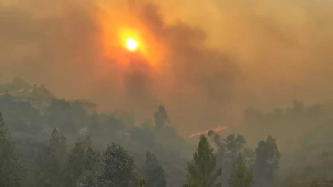 Φωτιά: Μάχη με τις φλόγες σε Έβρο – Ροδόπη – Νέες αναζωπυρώσεις σε Πάρνηθα