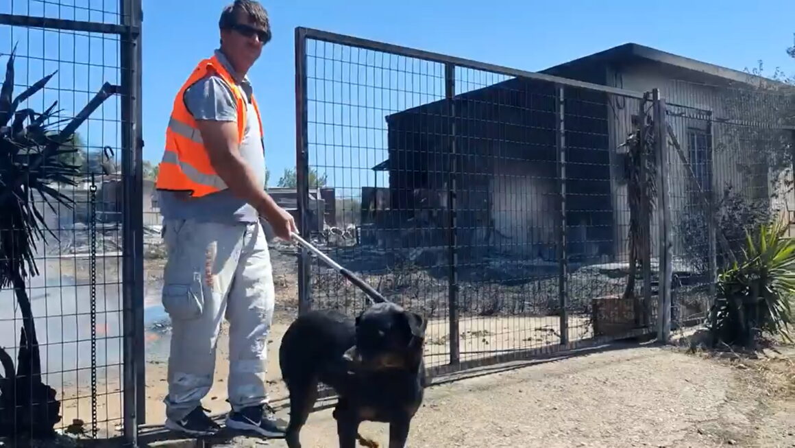 Πεντέλη: Η στιγμή που εθελοντές απεγκλωβίζουν σκύλο από φλεγόμενο οικόπεδο