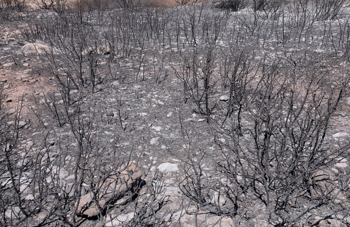 Πυρκαγιές στην Αττική: Μετρούν τις πληγές τους οι κάτοικοι της Πεντέλη – Κάηκαν σπίτια, καταστράφηκαν περιουσίες