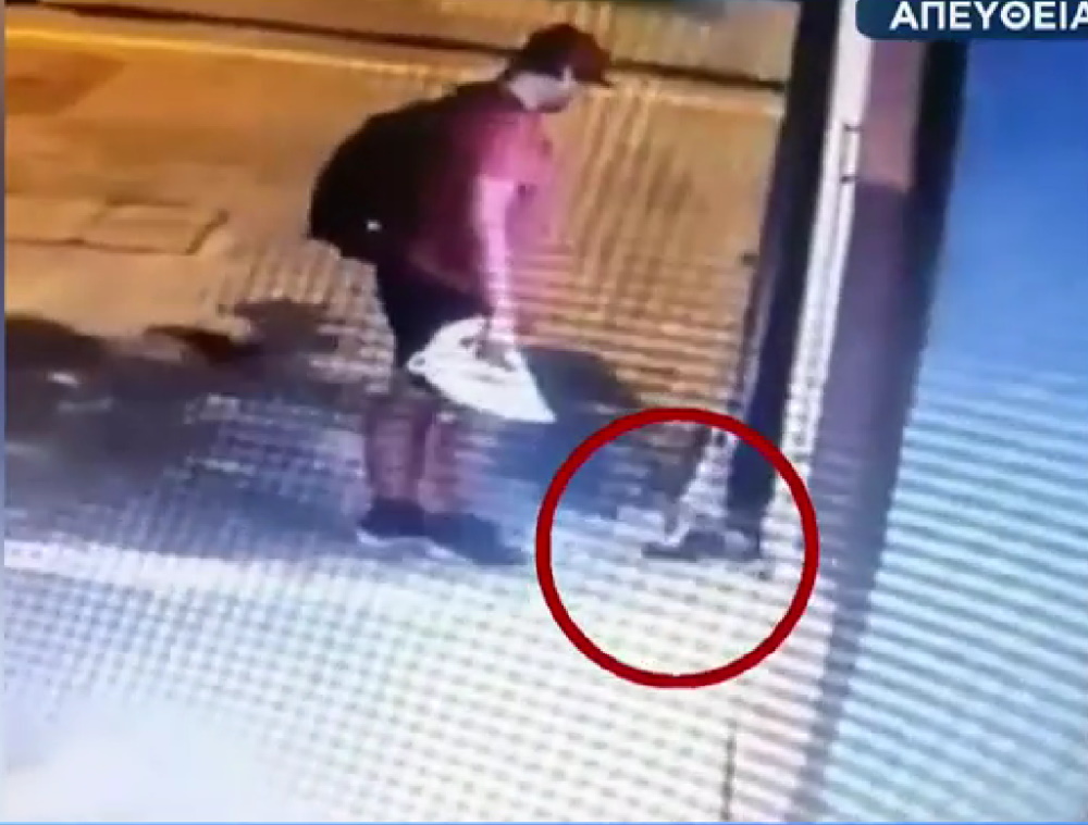 Θεσσαλονίκη: Δίωξη για κακούργημα στον άνδρα που ποδοπάτησε μέχρι θανάτου νεογέννητο γατάκι