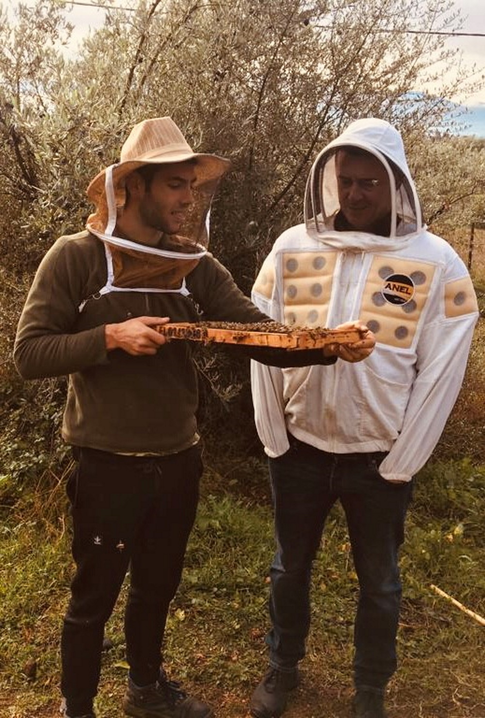 Χάρης Σταμάτης: Ο Αγρινιώτης μελισσοκόμος που κατέκτησε το ελληνικό Tik Tok