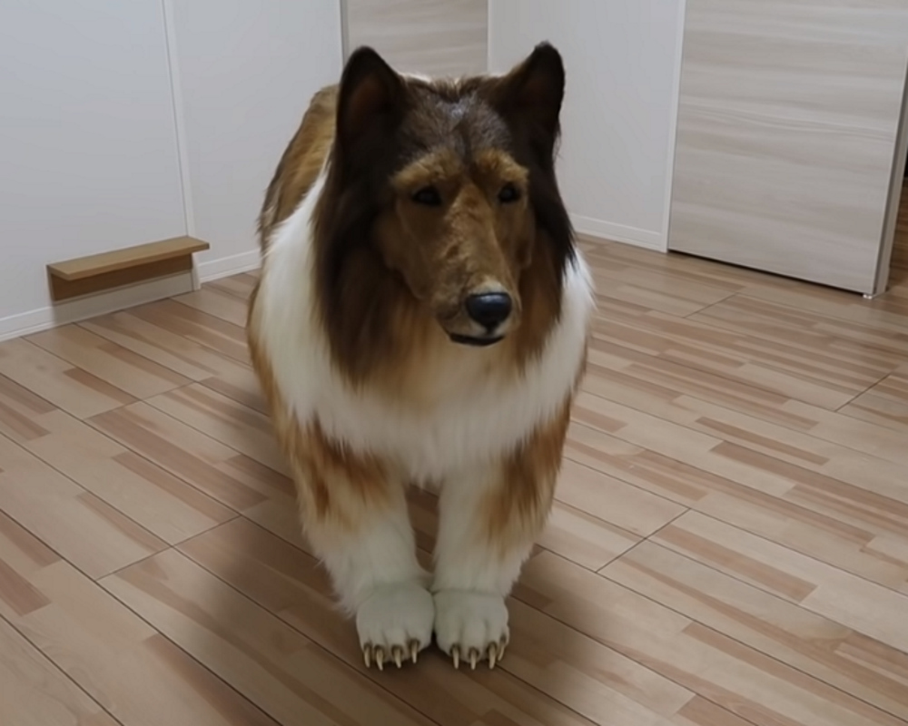 Η παράξενη είδηση της ημέρας: Ο Ιάπωνας που ζει ως σκύλος και πάει βόλτα με το λουρί