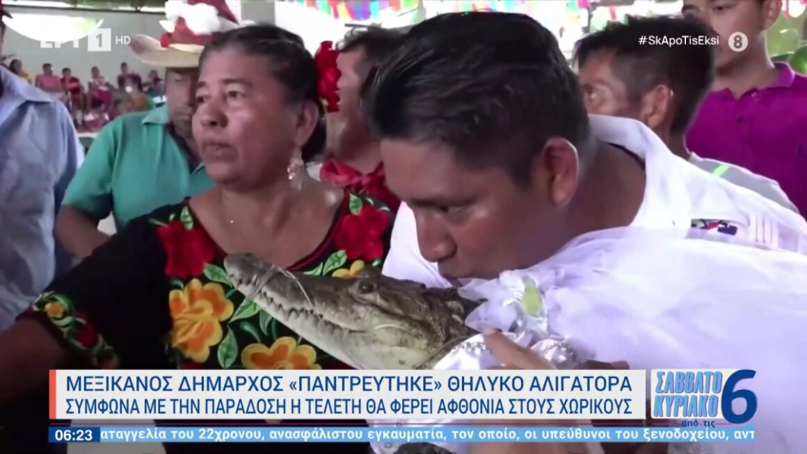Μεξικό: Όλα του γάμου δύσκολα! Δήμαρχος παντρεύτηκε…θηλυκό αλιγάτορα