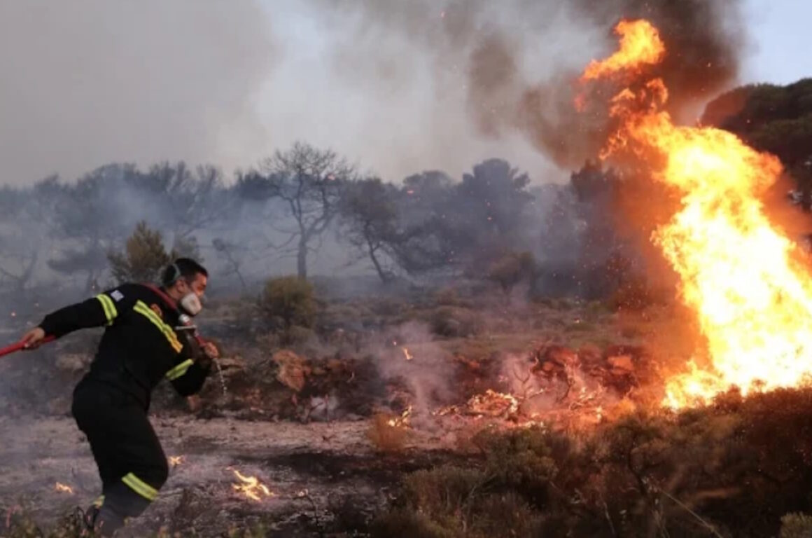 Φωτιά: Ολονύχτια μάχη με τις φλόγες δίνουν οι πυροσβέστες στο Σοφό Ασπροπύργου