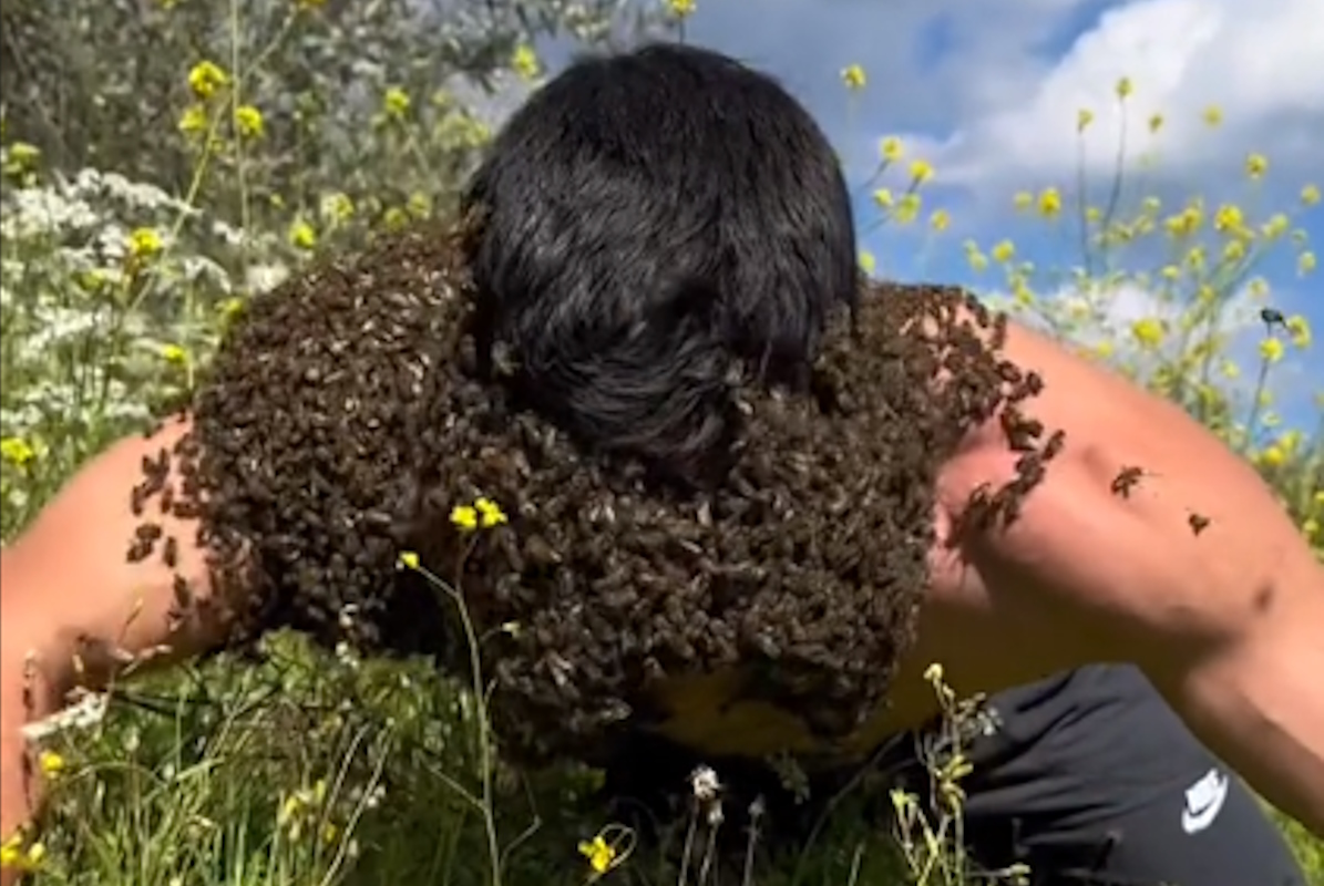 Χιλιάδες μέλισσες πάνω στο κορμί του! Ο viral μελισσοκόμος που «κόβει» την ανάσα στο TikTok
