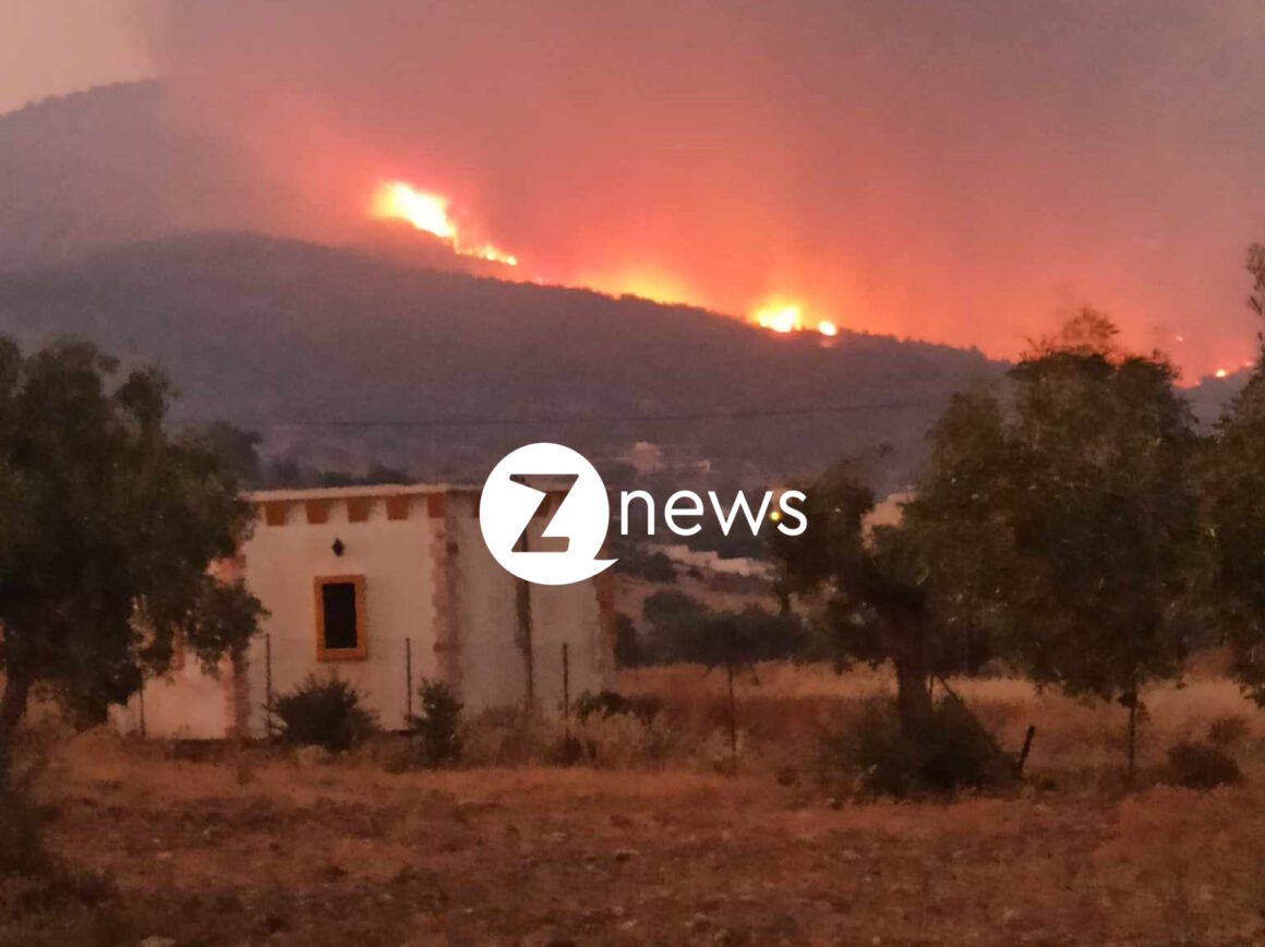 Φωτιά – Λουτράκι: Το Znews στο μέτωπο της πυρκαγιάς στη Ν. Πέραμο
