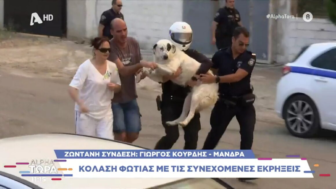 Φωτιά – Μάνδρα: Φοβισμένο σκυλί σώθηκε από τους αστυνομικούς