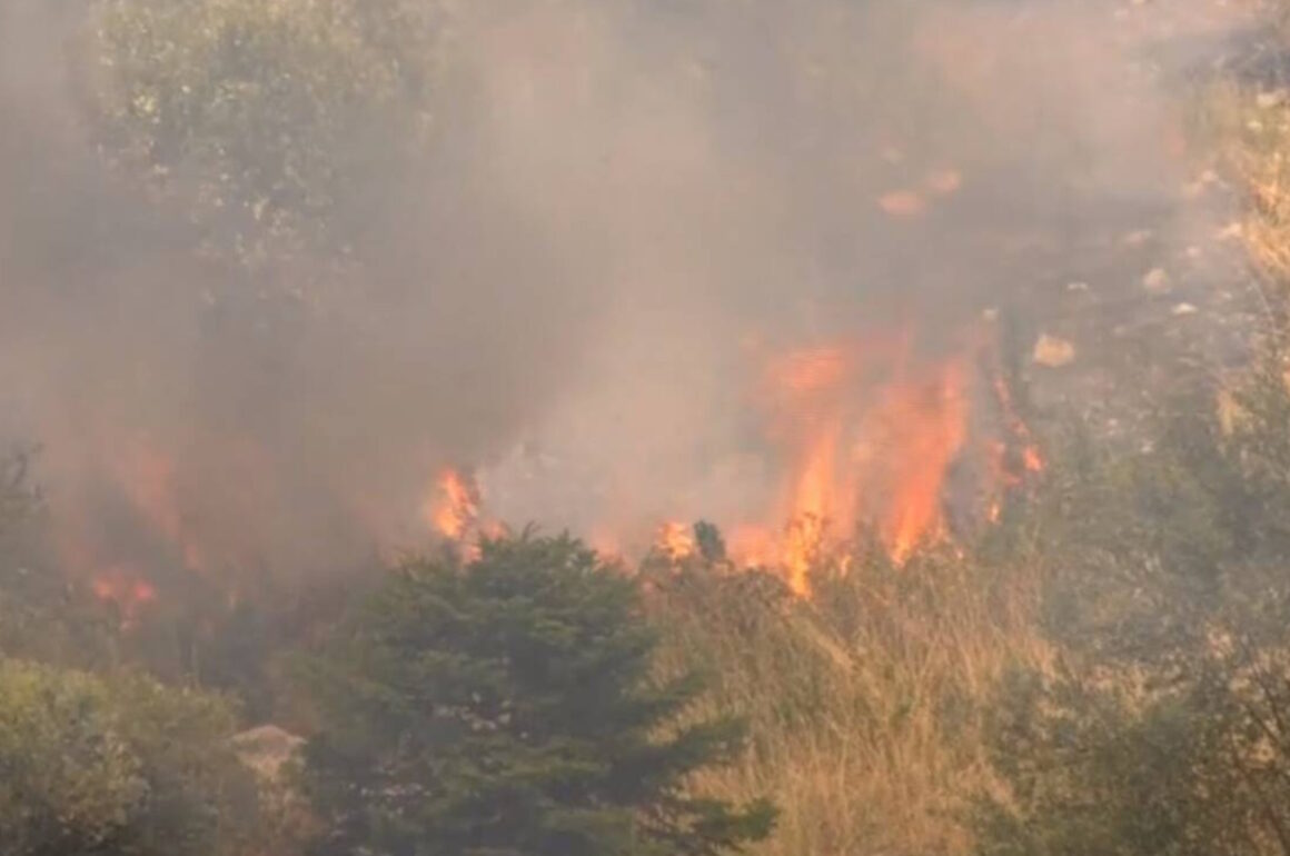 Συναγερμός: Πυρκαγιά στη Θήβα, καίει κοντά σε σπίτια