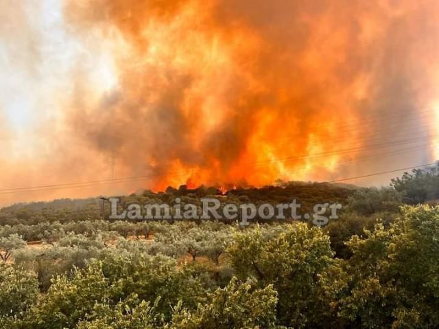 Φωτιά: Εκκενώνεται το βόρειο τμήμα της Λαμίας – 4 τραυματίες