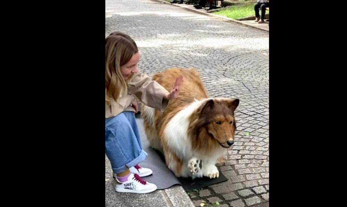 TikTok: Ο Ιάπωνας που «μεταμορφώθηκε» σε σκύλο λαμβάνει χάδια από τον κόσμο