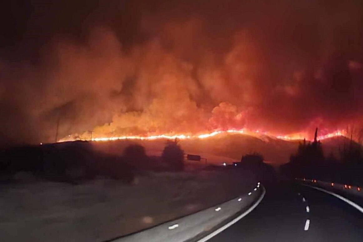 Φωτιές: «Στάχτη» 550.000 στρέμματα στην Ελλάδα μέχρι τον Ιούλιο
