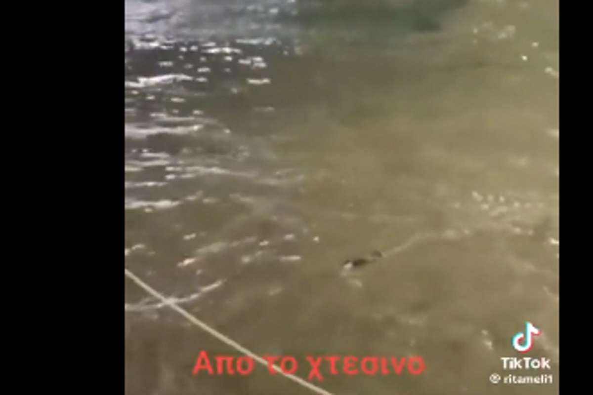 Blue Horizon: Νέο σοκαριστικό βίντεο με τον 36χρονο – Οι προσπάθειες να κολυμπήσει στα απόνερα