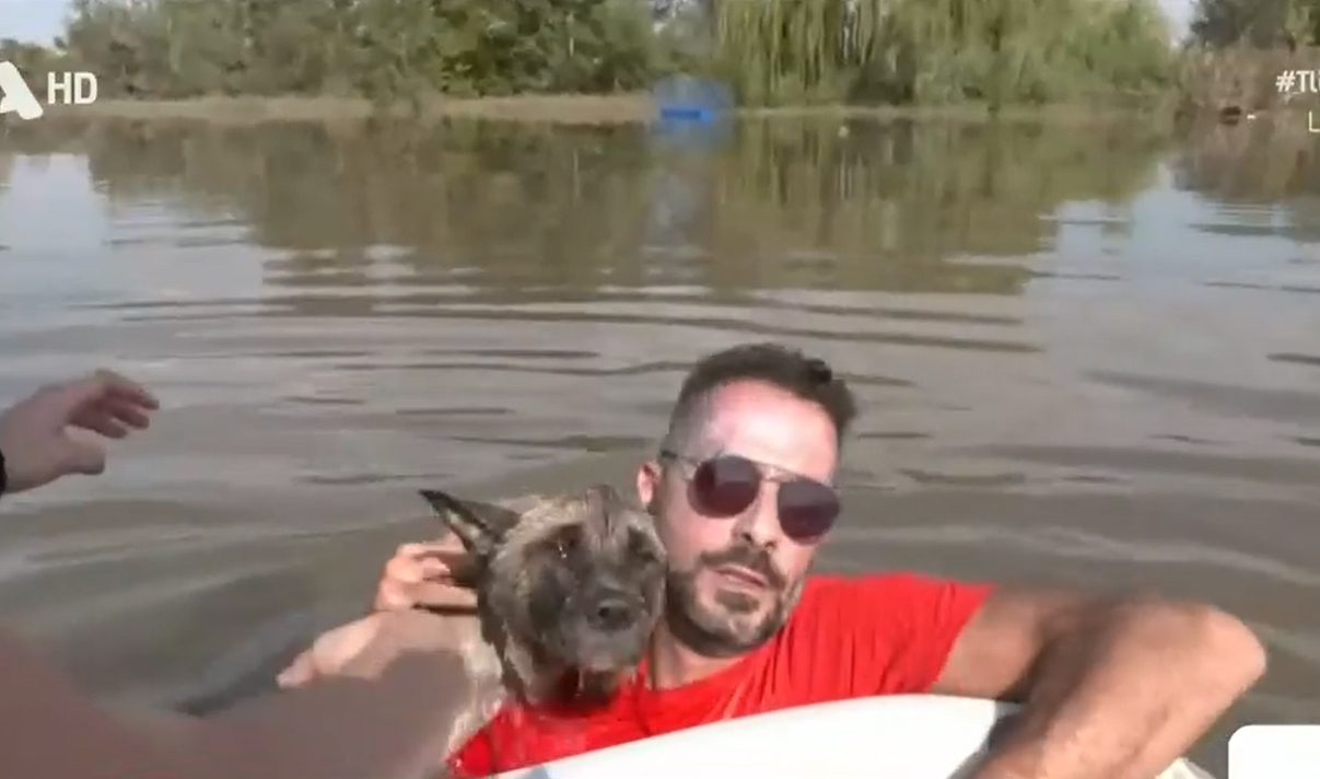 Κοσκινάς Καρδίτσας: Η στιγμή που εθελοντική ομάδα σώζει σκύλο που κολυμπούσε επί μέρες – Βίντεο