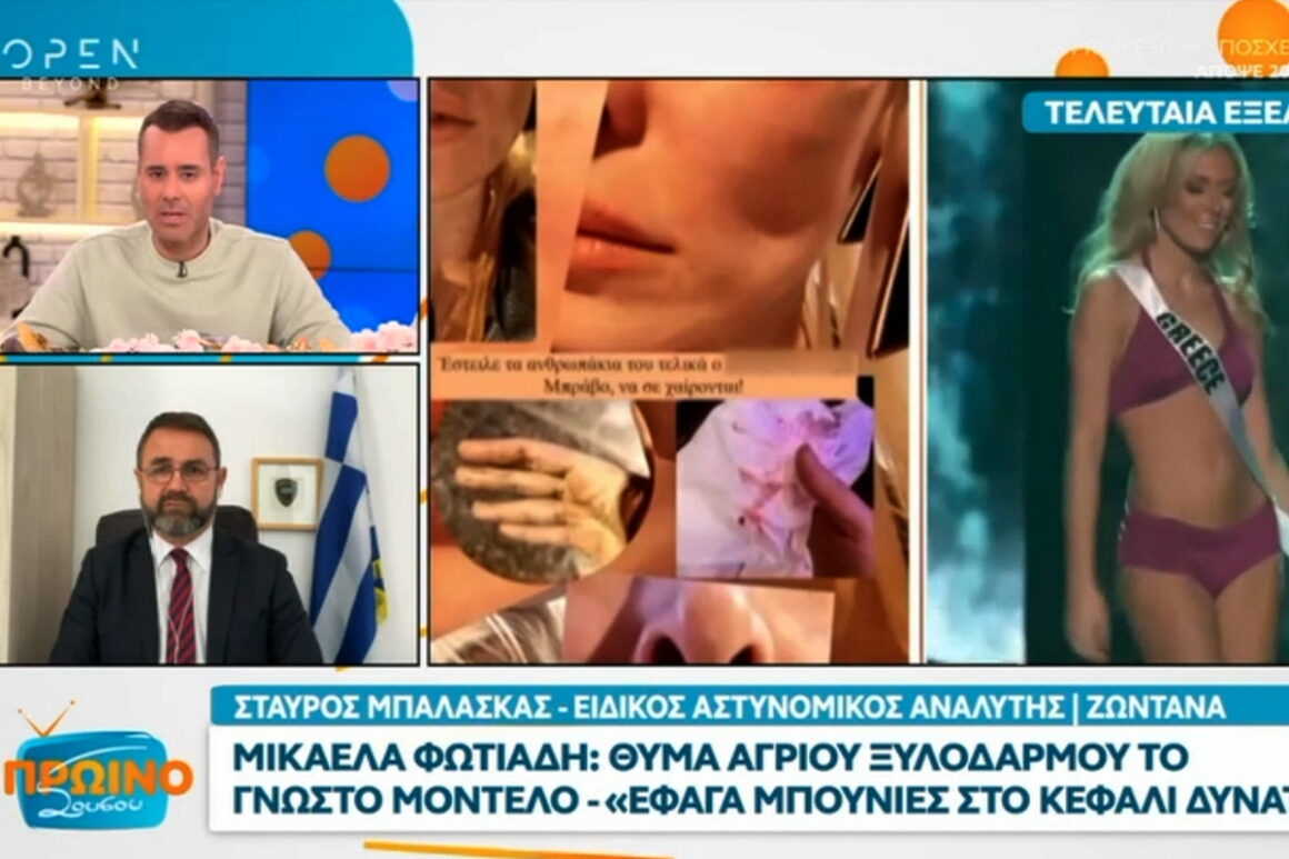 Νίκος Γεωργιάδης για Μικαέλα Φωτιάδη: «Πληροφορία που ελέγχεται αναφέρει ότι…»